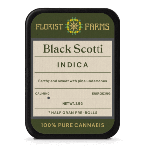 black-scotti-7pk-prerolls-tin: A clear product shot of the Black Scotti 7-pack tin of pre-rolls, highlighting its sleek design and branding.