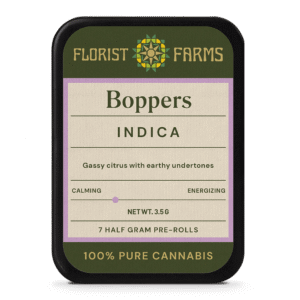 Boppers
