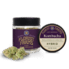 Kombucha | Eighth Ounce