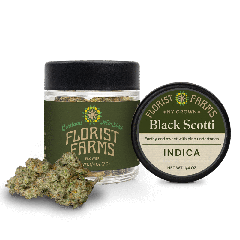 black-scotti-strain-cannabis-flower-close-up: A close-up image of the Black Scotti cannabis flower, highlighting its dark hues (if applicable), frosty trichomes, and appealing structure.