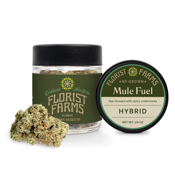 mule-fuel-quarter-ounce-flower-jar: A clear product shot of the Florist Farms Mule Fuel quarter ounce (7g) flower jar, showing the branding and product details.