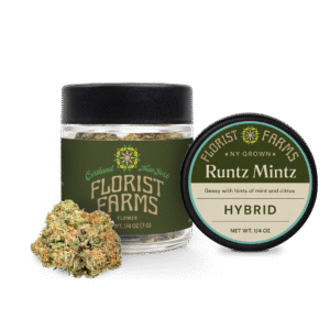 runtz-mintz-strain-quarter-ounce-jar: A clear product shot of the Florist Farms Runtz Mintz quarter ounce (7g) flower jar, showcasing the branding and product.