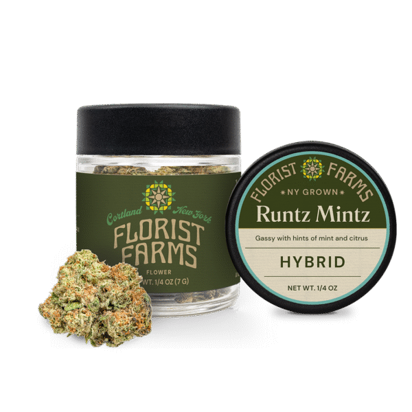 runtz-mintz-strain-quarter-ounce-jar: A clear product shot of the Florist Farms Runtz Mintz quarter ounce (7g) flower jar, showcasing the branding and product.